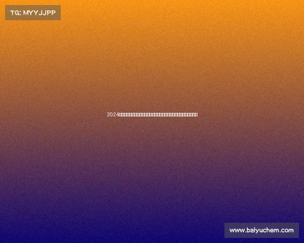 2024年第三届中国国际力量举重锦标赛全球精英选手激烈对抗争夺最高荣耀