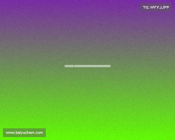 皇家社会赛事;皇家社会西甲征程全面回顾与欧冠资格前景深度分析预测