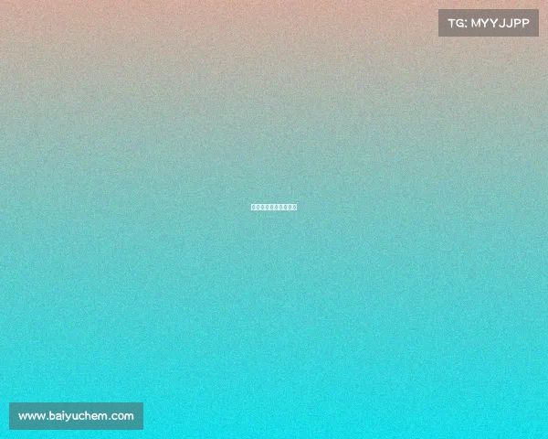 拉力赛赛事有几个赛区